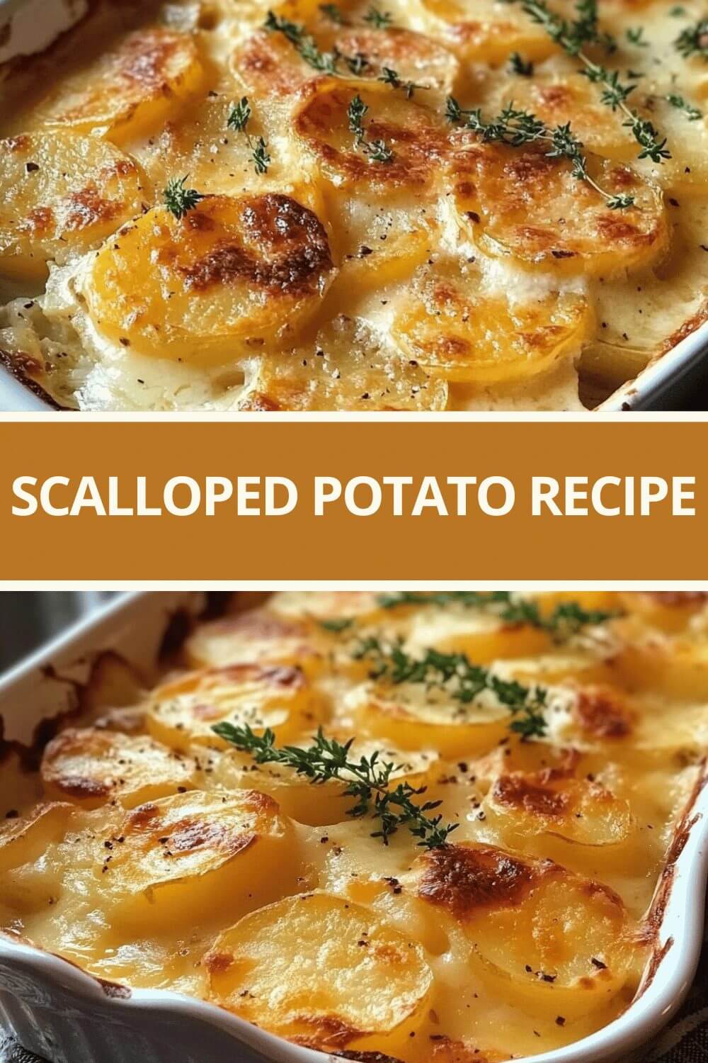Best Scalloped Potatoes Ever – Recipecs