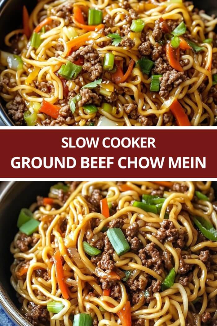 Slow Cooker Ground Beef Chow Mein Recipecs